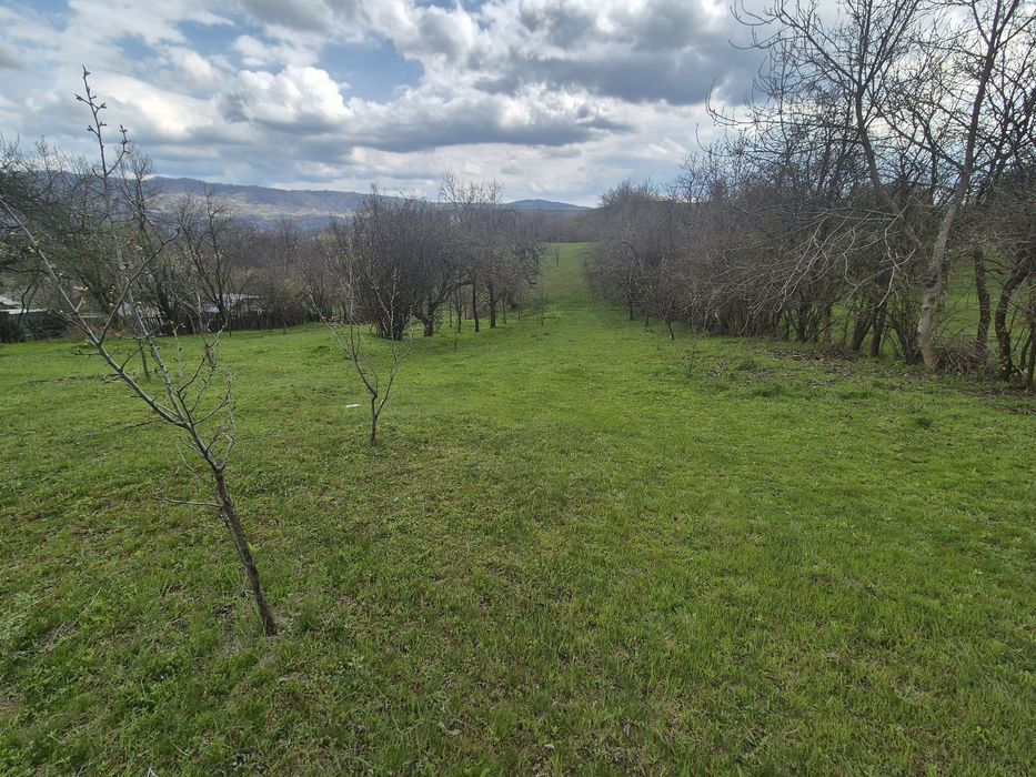 TEREN INTRAVILAN + AUTORIZAȚIE + LIVADĂ – 4.663 mp – Drajna, Făget, Prahova