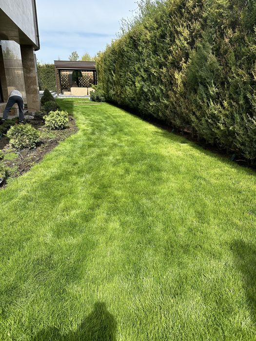 Газон Автополив под ключ