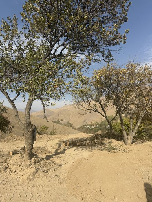 продам землю в Янги абаде Ангрен дачный посолек   ест обмен