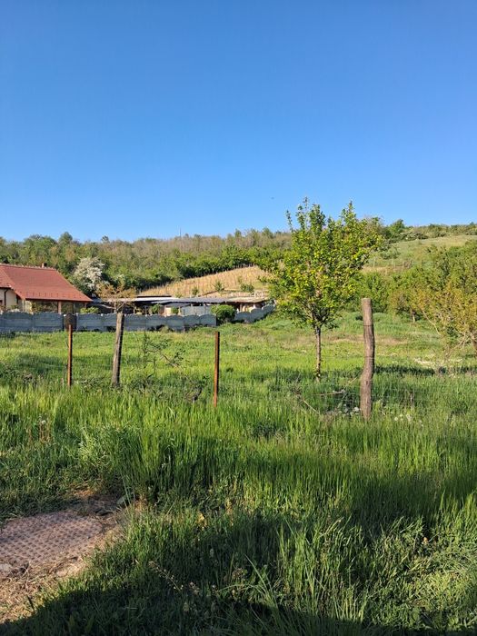Se vinde sat Petrisi