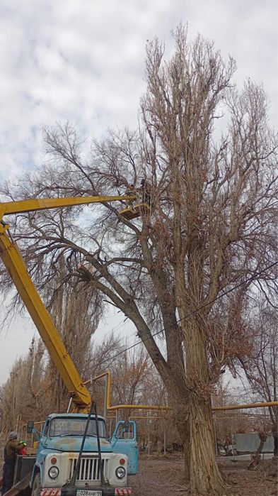 Услуга автовышки АГП