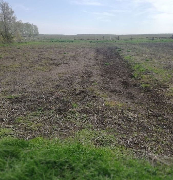 Продам дом в селе Толмачевка .