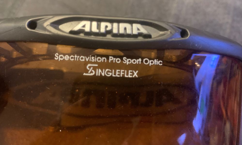 Очила за ски Sinner, Alpina