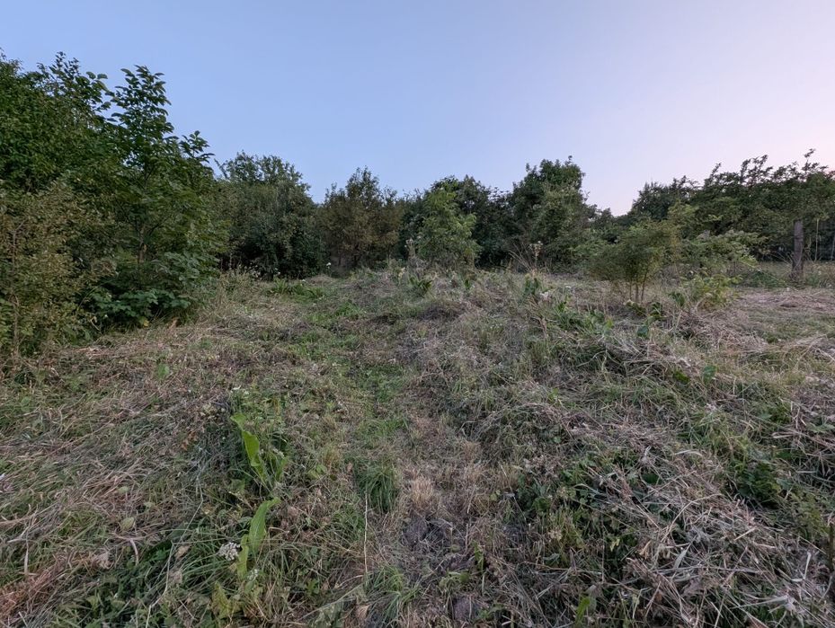 Teren + casă Săndulești, 20 ari, utilități, 74500