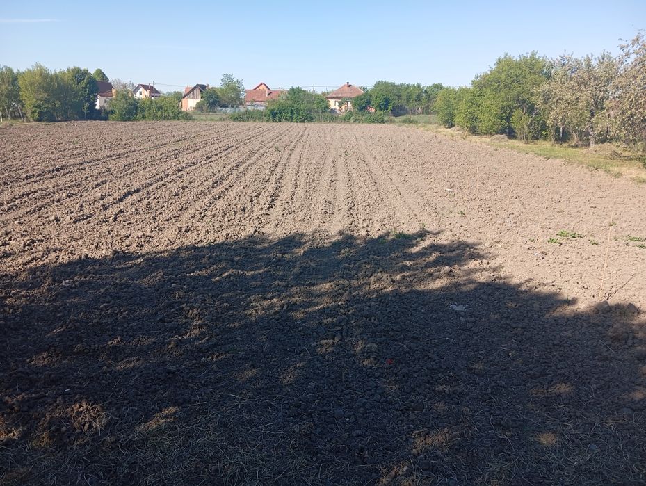 Vând casă cu grădină,2800 mp. in loc Mișca jud Arad. Informații la telefon 0770336792.