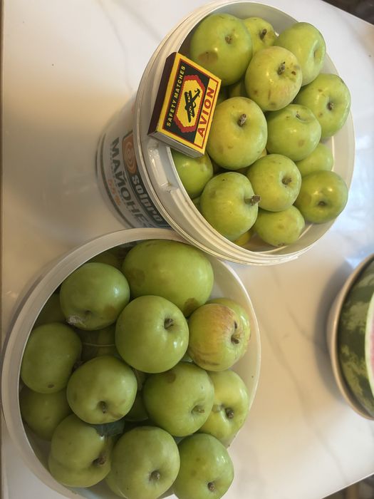 Яблочки, Ирга ягода продажа
