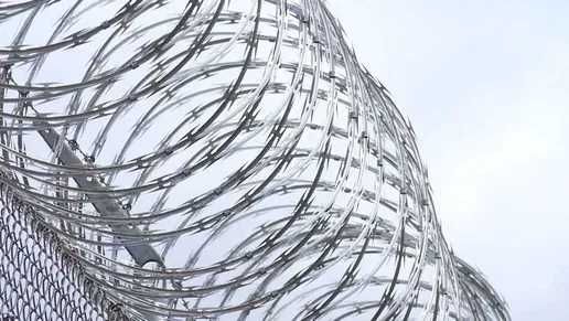 Igoza Егоза колючая проволока Игоза (Тиконли сим)