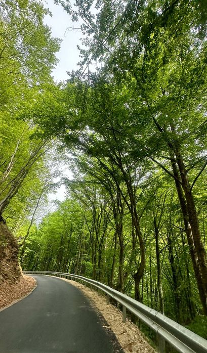Teren pentru cabana cu panorama superba in Valea Ierii / Plopi. Asfalt