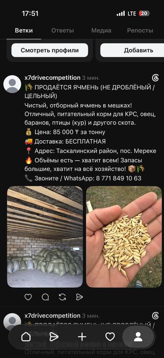 Ячмень оптом (не дробленные)