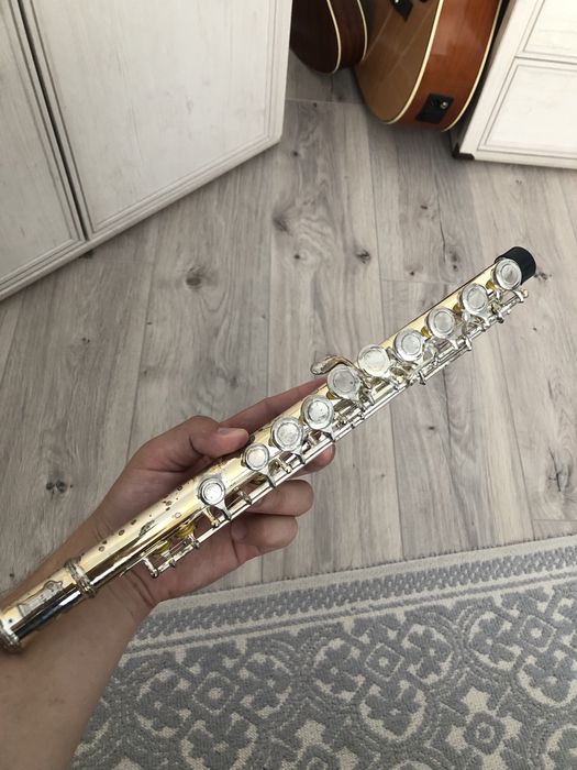 Флейта(музыкальный инструмент)