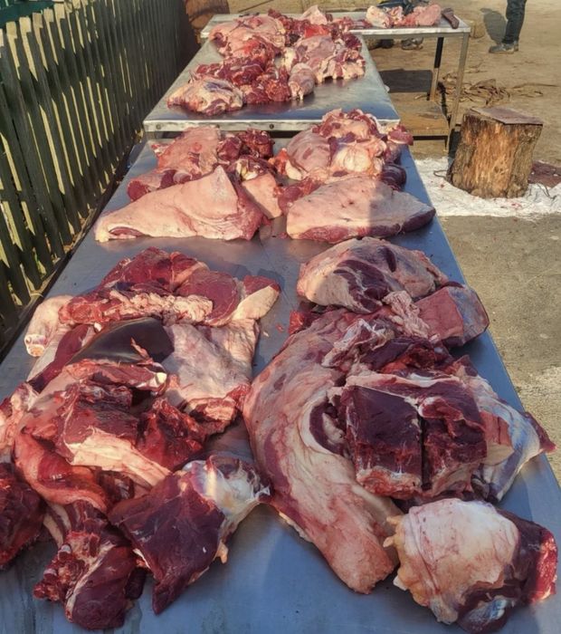 Жылкы Ет Кызылорда