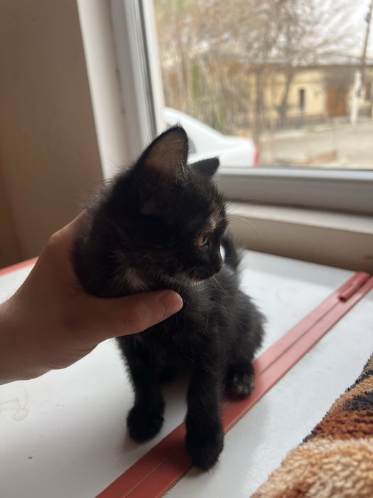 Пишик боллари яхши кариман дидовн одама барилали