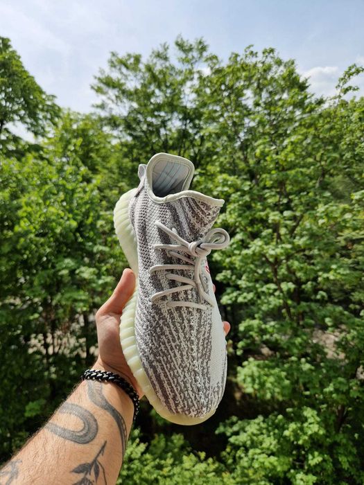 Yeezy 350 Blue Tint + Cadou
