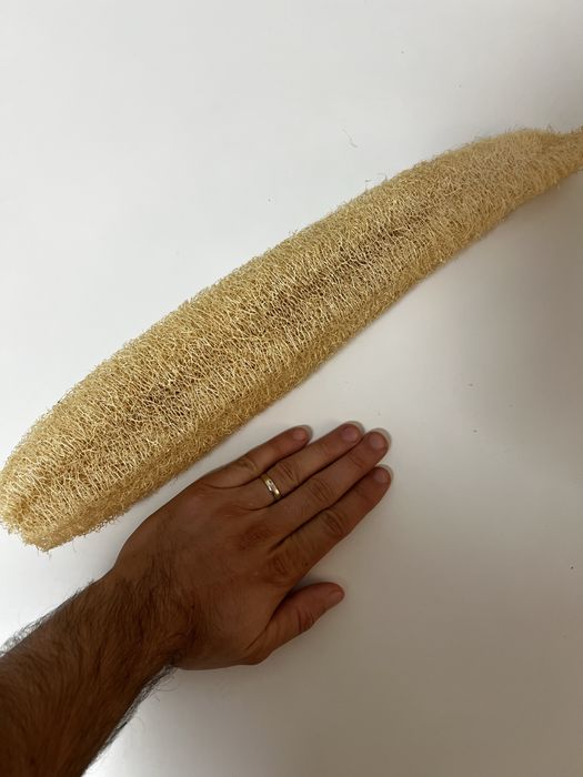 Lufa, seminte luffa, lufa intreg.