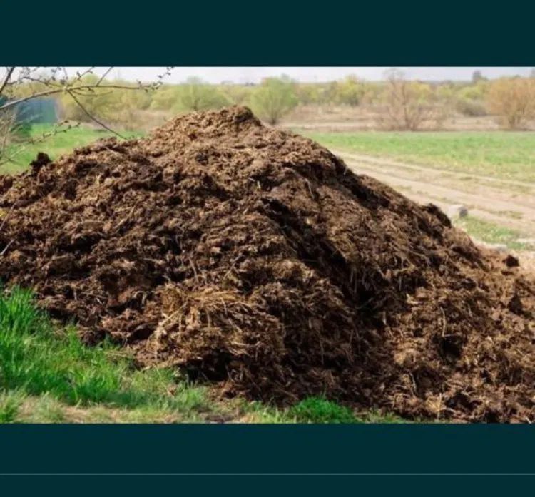 Конский навоз (жылқы көңі)