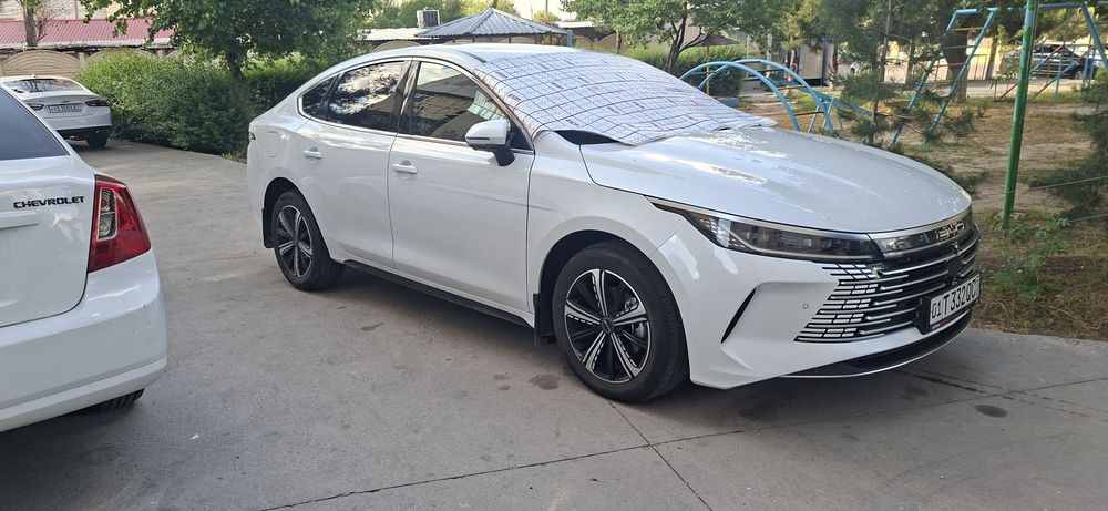 Byd chazor 120 tali SOTILADI
