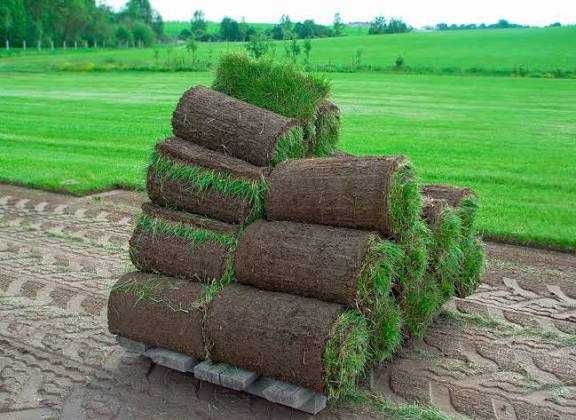 Газон | Gazon | оптом арзон | Landshaft Dizayn