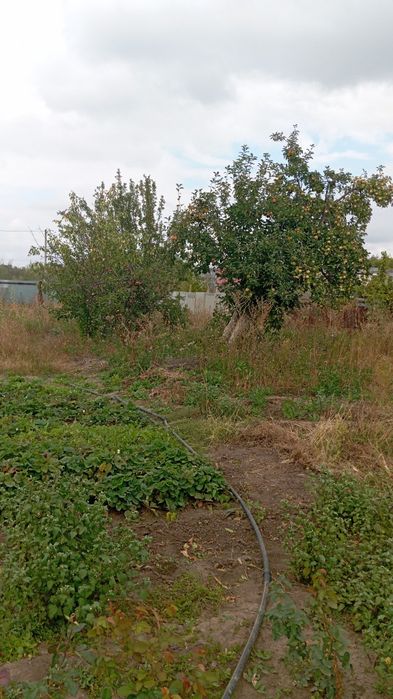 Продам дачу в районе  Телецентра