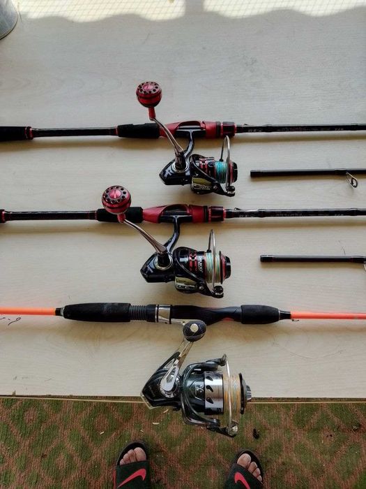 Baliqchlia wottamisila