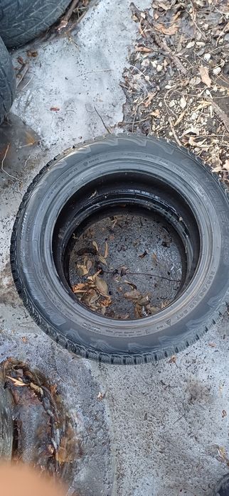 Продам шины зимние