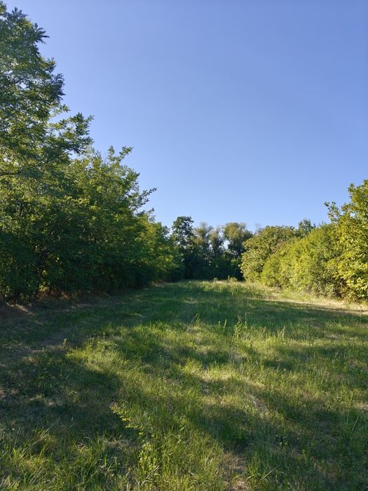 Casă/teren de vânzare