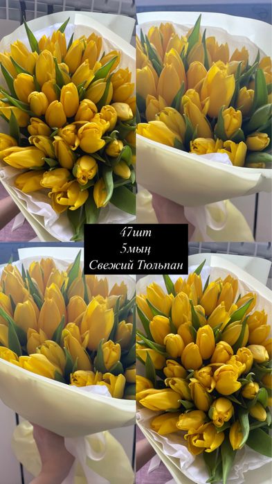 Свежий Тюльпандар