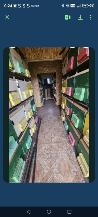 Pavilon apicol cu 80 de lazi