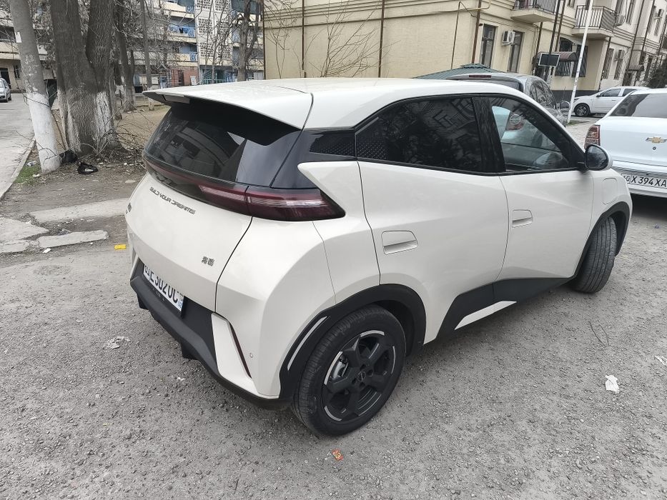 byd seagull sotiladi