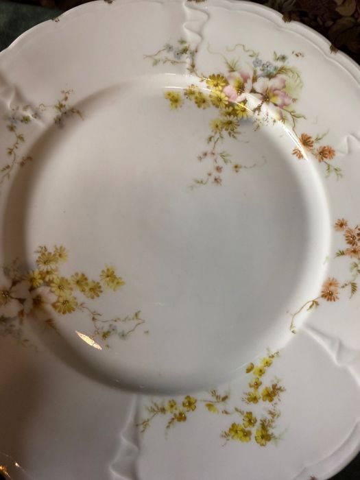 120 годишен Rosenthal Iris- сервиз за хранене за 14 човека