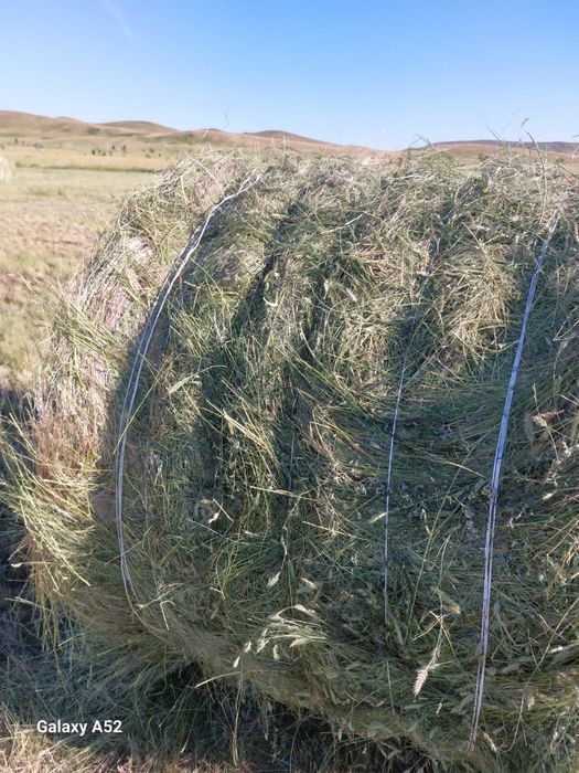 Продается сено в рулонах