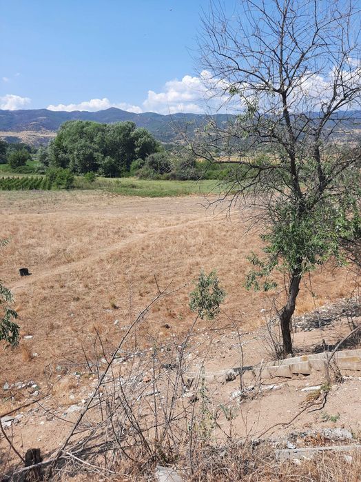 Продава се Земеделски имот в с. Струмяни, Област Благоевград -  кв.м за 6 €/дка - Снимка #5