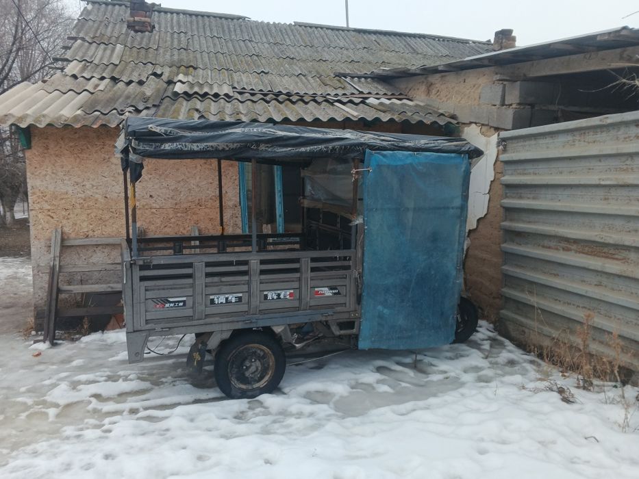 Мурави журып тур