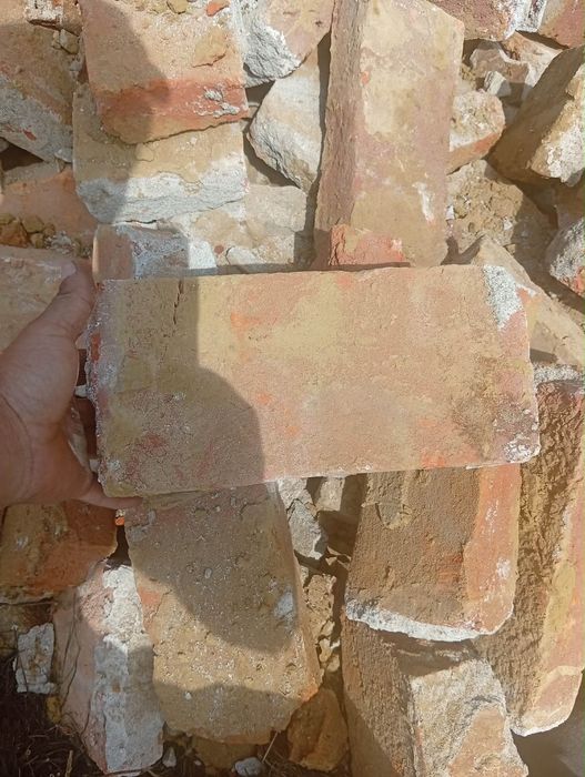 Vând caramida plina