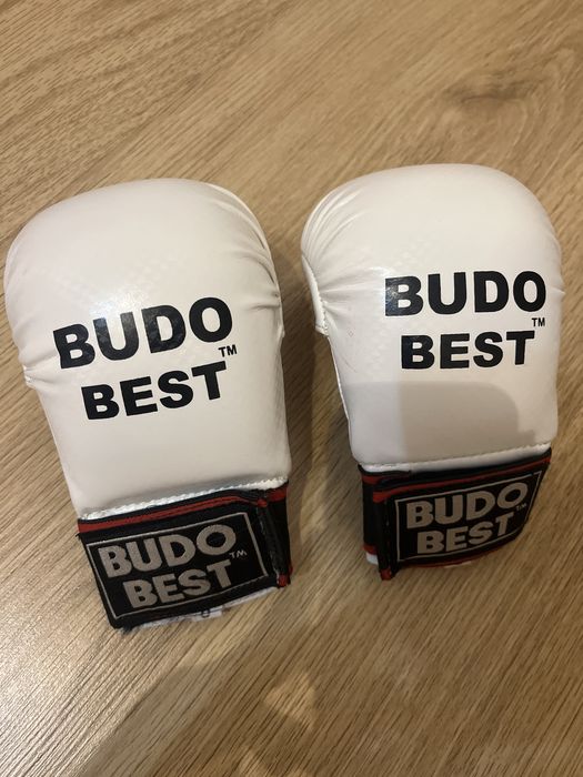 Manusi BudoBest karate