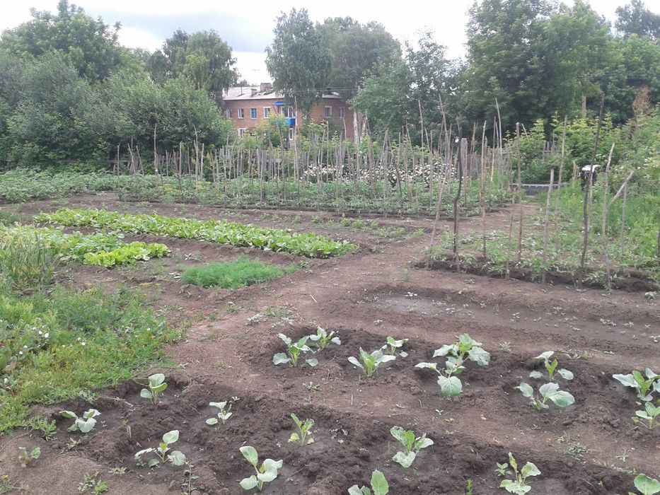 Продам огород на ЖД