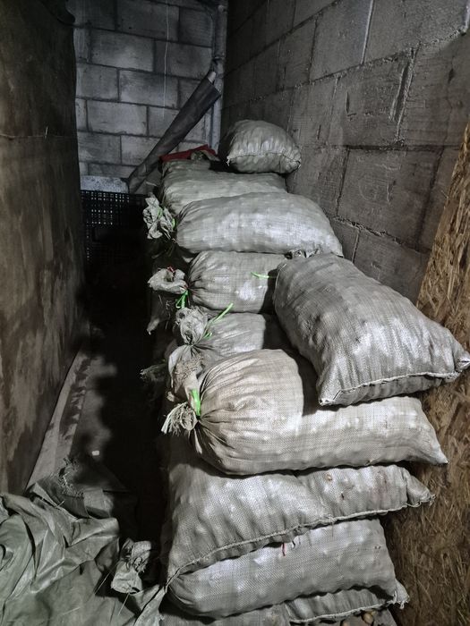 На корм скоту Картофель