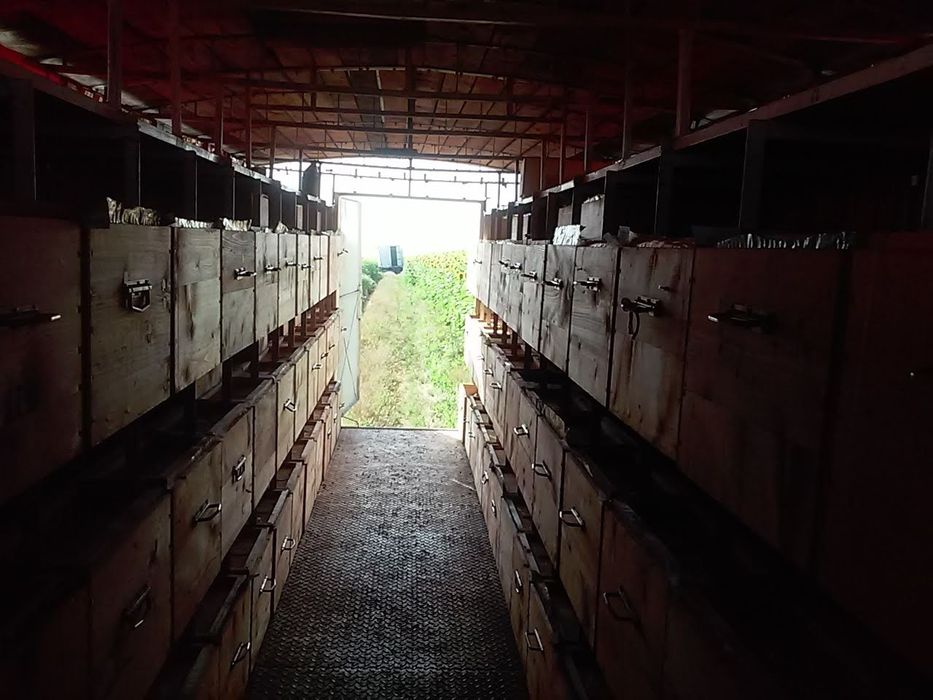 Vând pavilion apicol