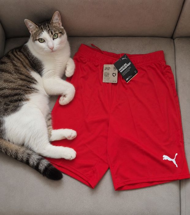 Pantaloni scurti Puma
