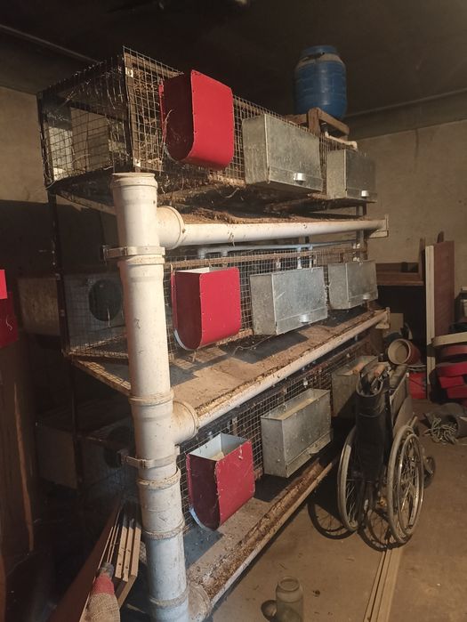 Quyon uchun raddom qafas