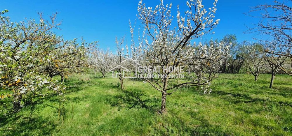 Къща в Търговище, област-с.Острец площ 140 цена 28 121 евро