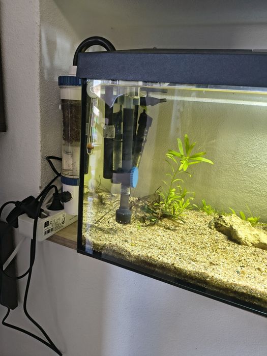 Acvariu 60l complect utilat