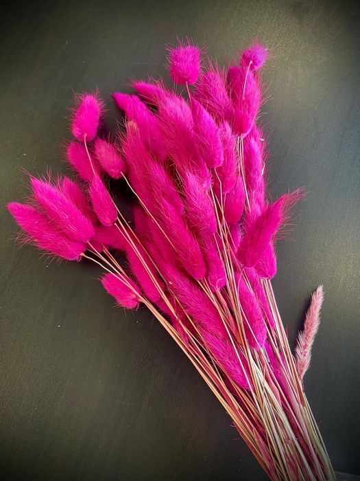 Сухи цветя за аранжиране