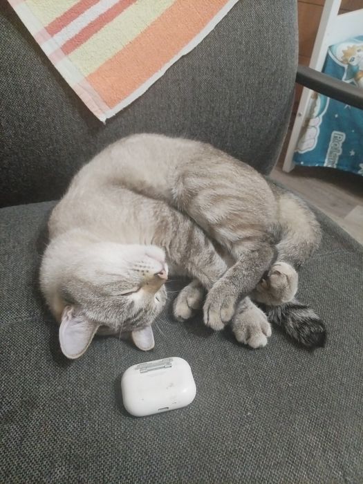 Продам не ориг сломанные airpods pro 2