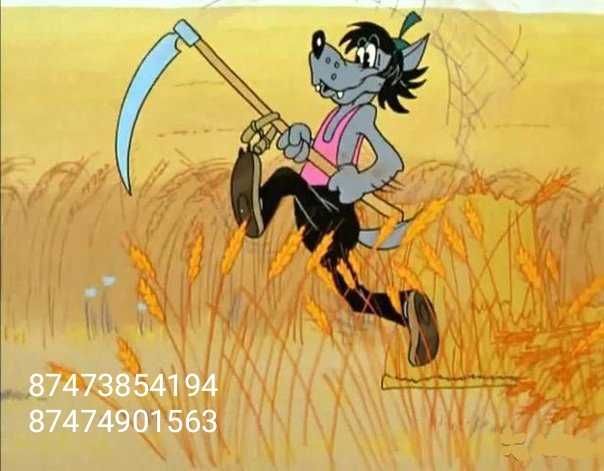 Пакос травы. Шөп шабу