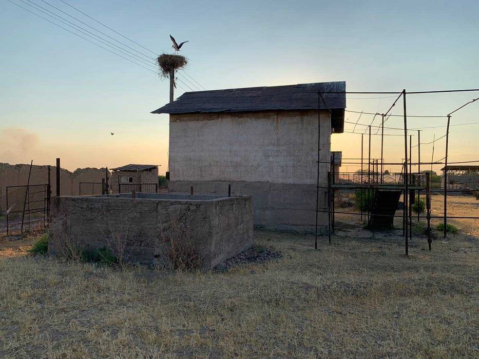 Продажа участка 21 сотка ориентир Ташморе