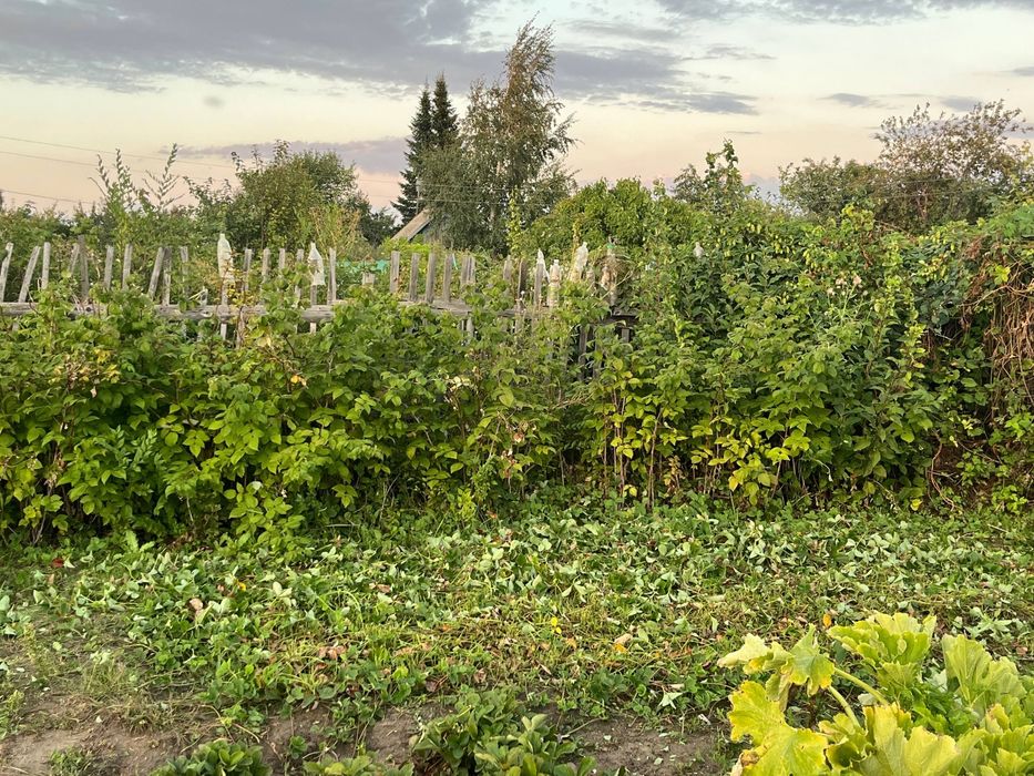 Дача СО Дархан 1 продам