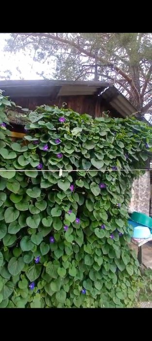 Продается дача .