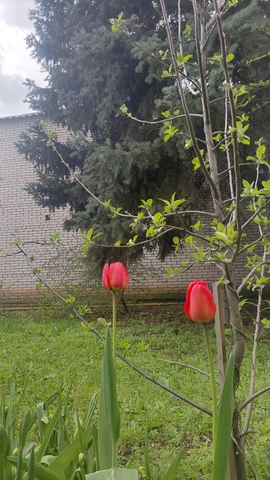 Продам дом.срочно.