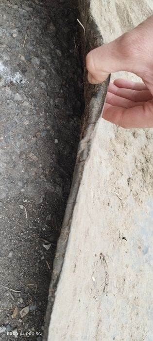 Лист резины для животных