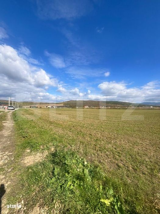 Teren Extravilan in Apropiere de Jelna – 25.800 mp, cu Utilitati